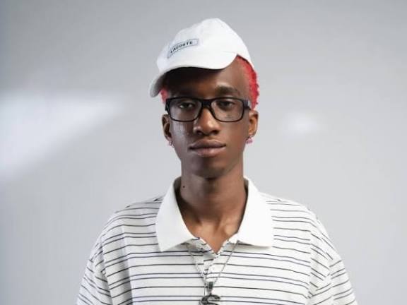 wizo_sylvester tweet media