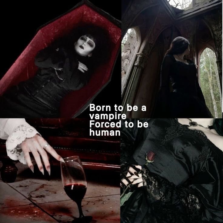 𝔖𝔦𝔩𝔢𝔫𝔠𝔢𝔣𝔬𝔯𝔪𝔶𝔰𝔬𝔲𝔩 (@funeralmind) on Twitter photo 