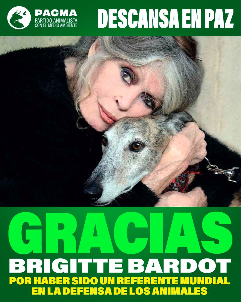 Hoy despedimos, con inmensa tristeza y profundo agradecimiento, a alguien que renunció al aplauso y usó su voz para quienes no tenían ninguna.

Mucho antes de que hablar de derechos animales fuese común, Brigitte Bardot ya incomodaba, denunciaba y se enfrentaba al poder por