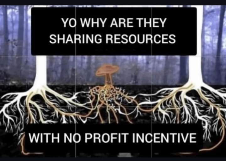 tnega74's tweet image. Happy socialist Sunday camaradas...