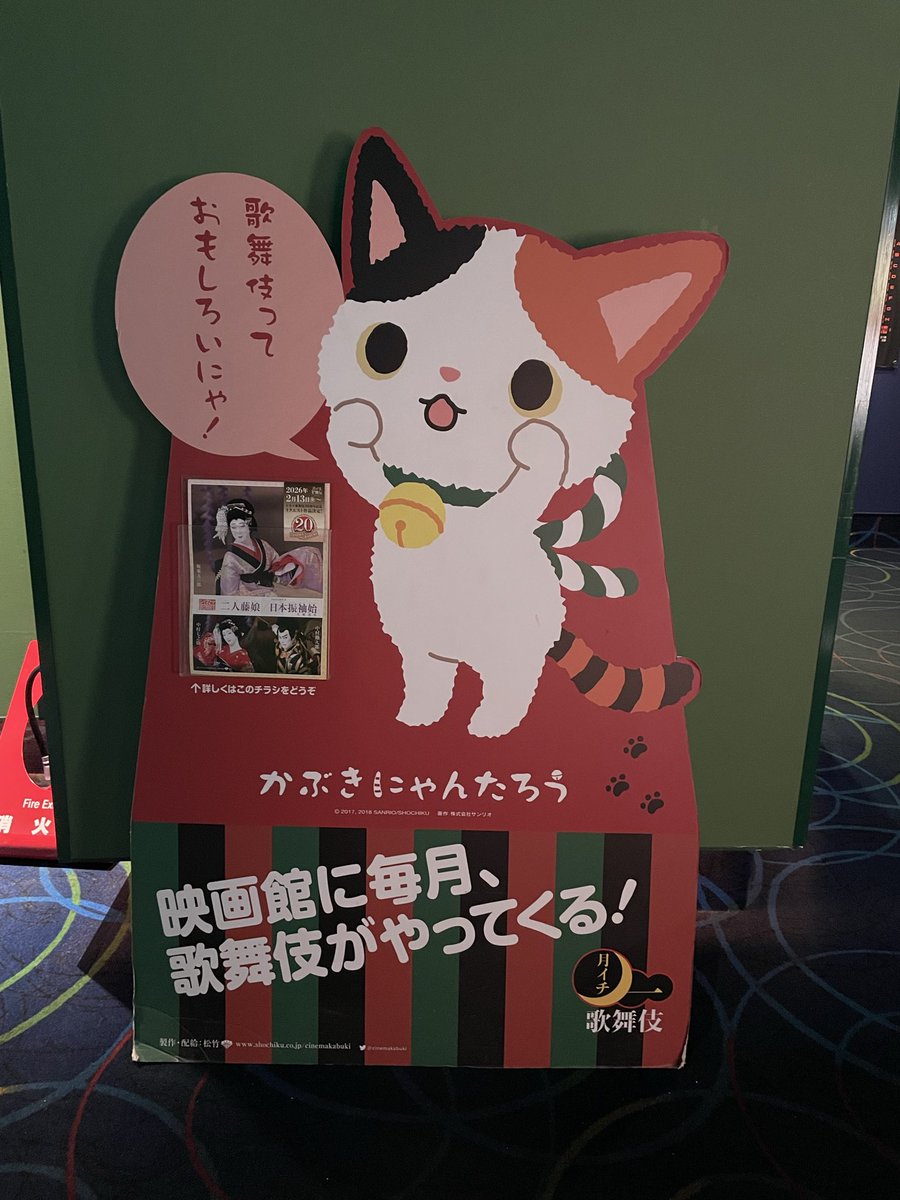 にゃん太郎〜〜〜‼️😭✨👏