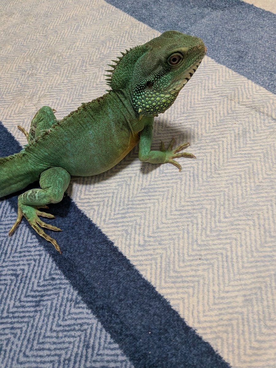 メンテするので開放してます。