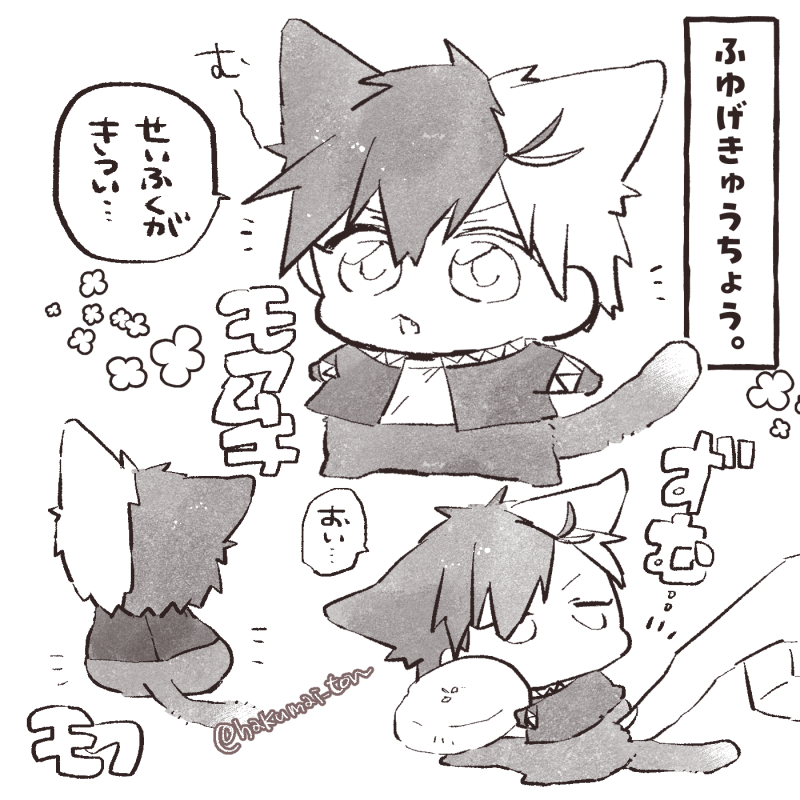 冬毛きゅうちょ～ちょっともふもふぱやぱや子猫🐾 