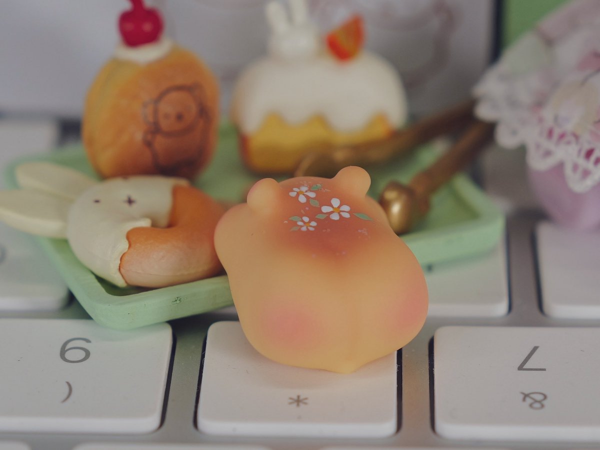 🌸

#kumukuku 
#쿠무쿠쿠 
#クムクク