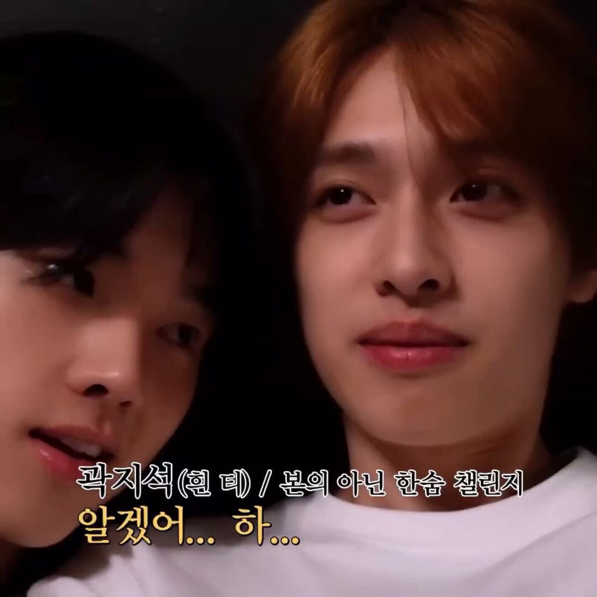 JungjiDevotee's tweet photo. do they not feed these guys why do they always looking at each other like they’re starving? https://t.co/Llkq8ryafs