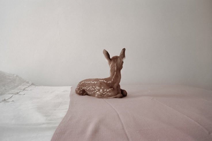 glirttery's tweet image. 