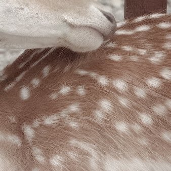 glirttery's tweet image. 