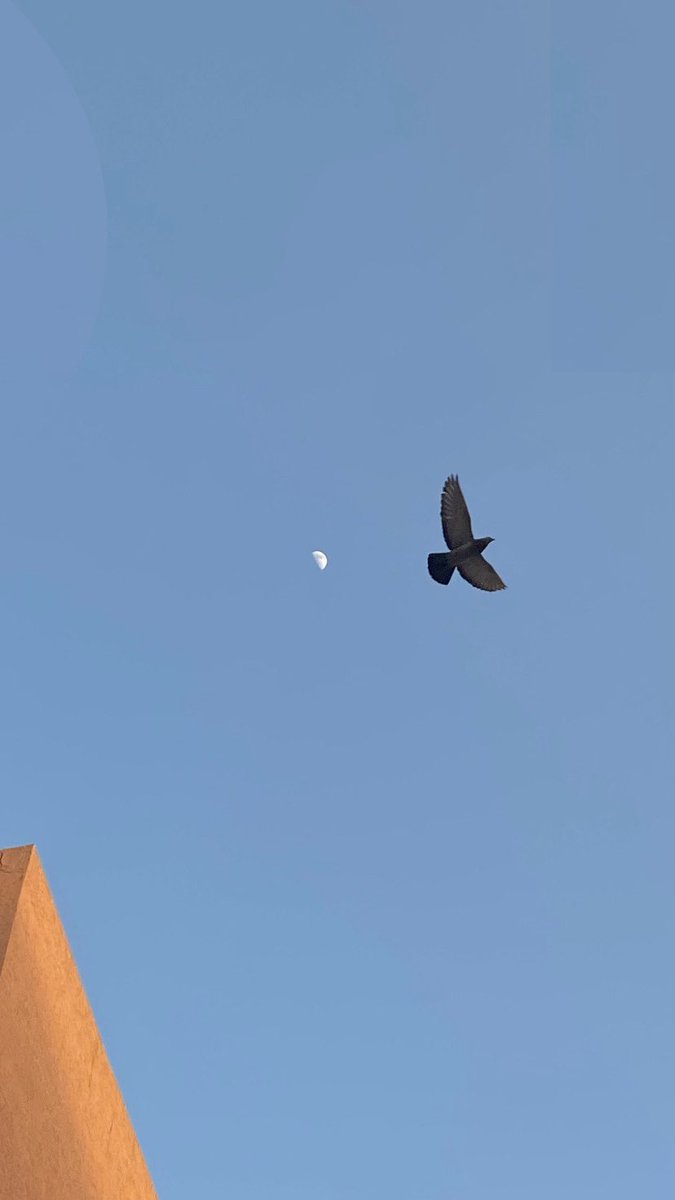 التربيع الأول في الشتاء بالذات🤍