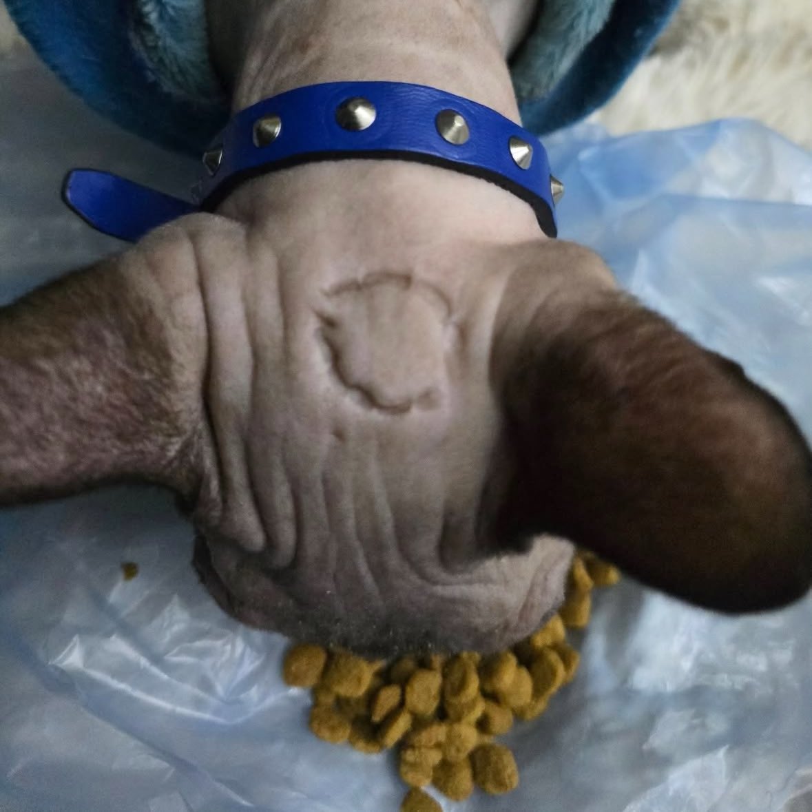 hay que saber dar pero también recibir