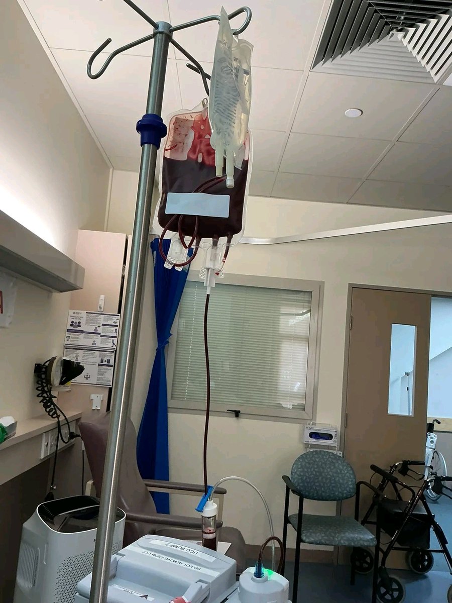 tweeter_vee's tweet image. Thankyou to the anonymous donor who gave me the gift of their blood so I can feel better. 👏🏻🙏🏻🩸#blooddonor #lifeblood #redcross #bloodbank #donor #thanks