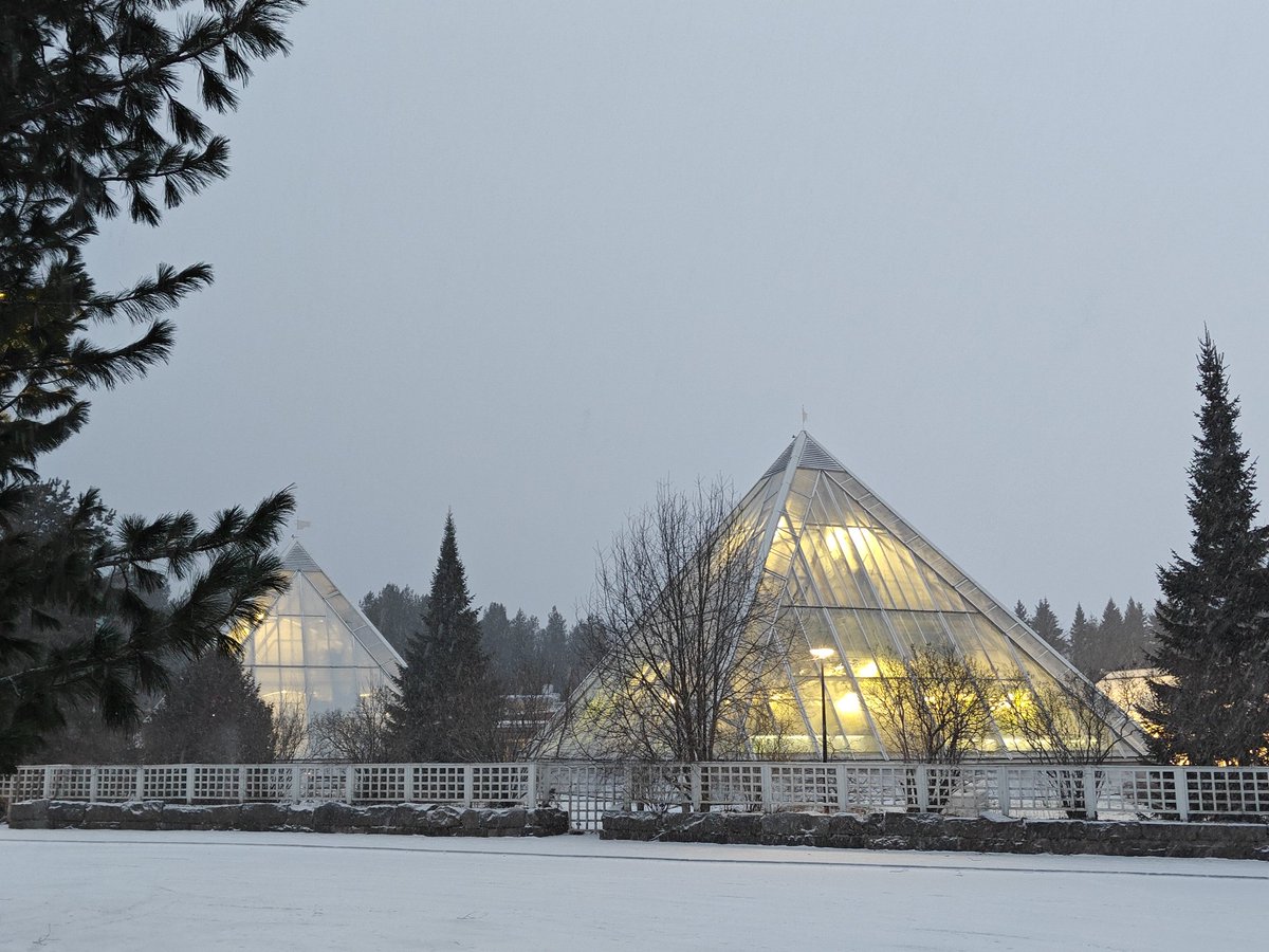 Ulkoilua ❄️❄️ #letitsnow