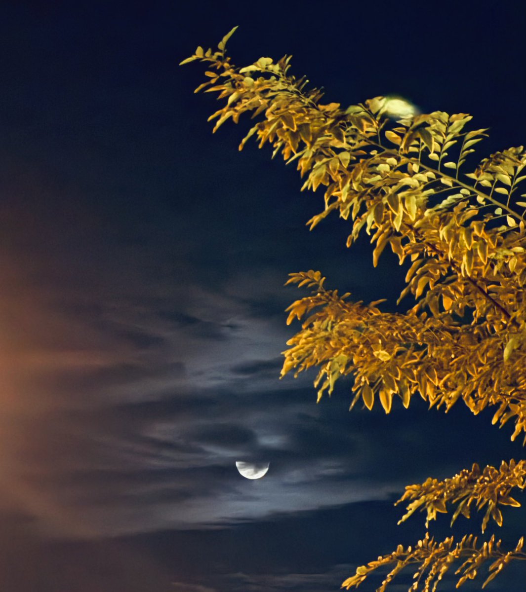 dm_9ia's tweet image. التقاطه امس ❣️