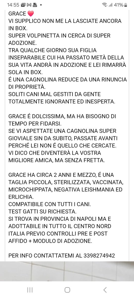 annina_cutillo's tweet photo. https://t.co/EovymvQTXQ