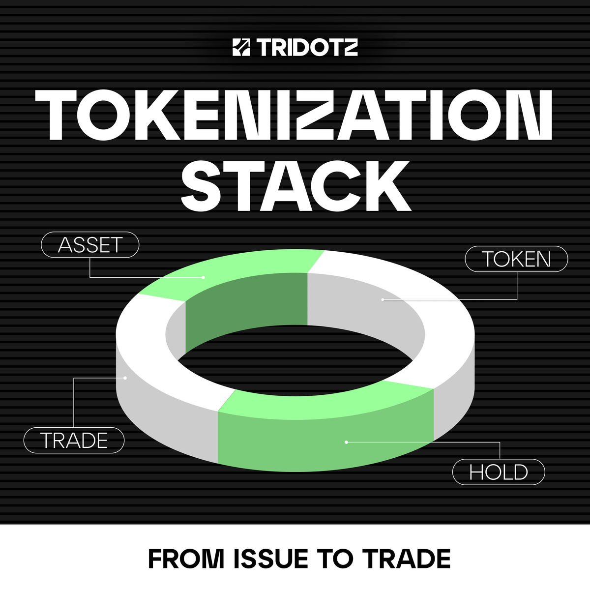 TRIDOTZ | web3 auditing, developing, & investing tweet media