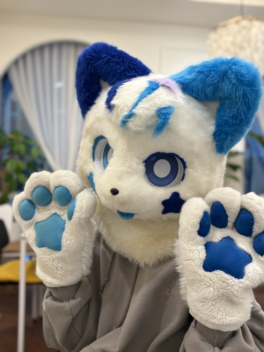 _5igma's tweet image. 잠시 스바루가 되보았습니다☺️
🌟 @its_cape
📷 @ahpuhahpudding