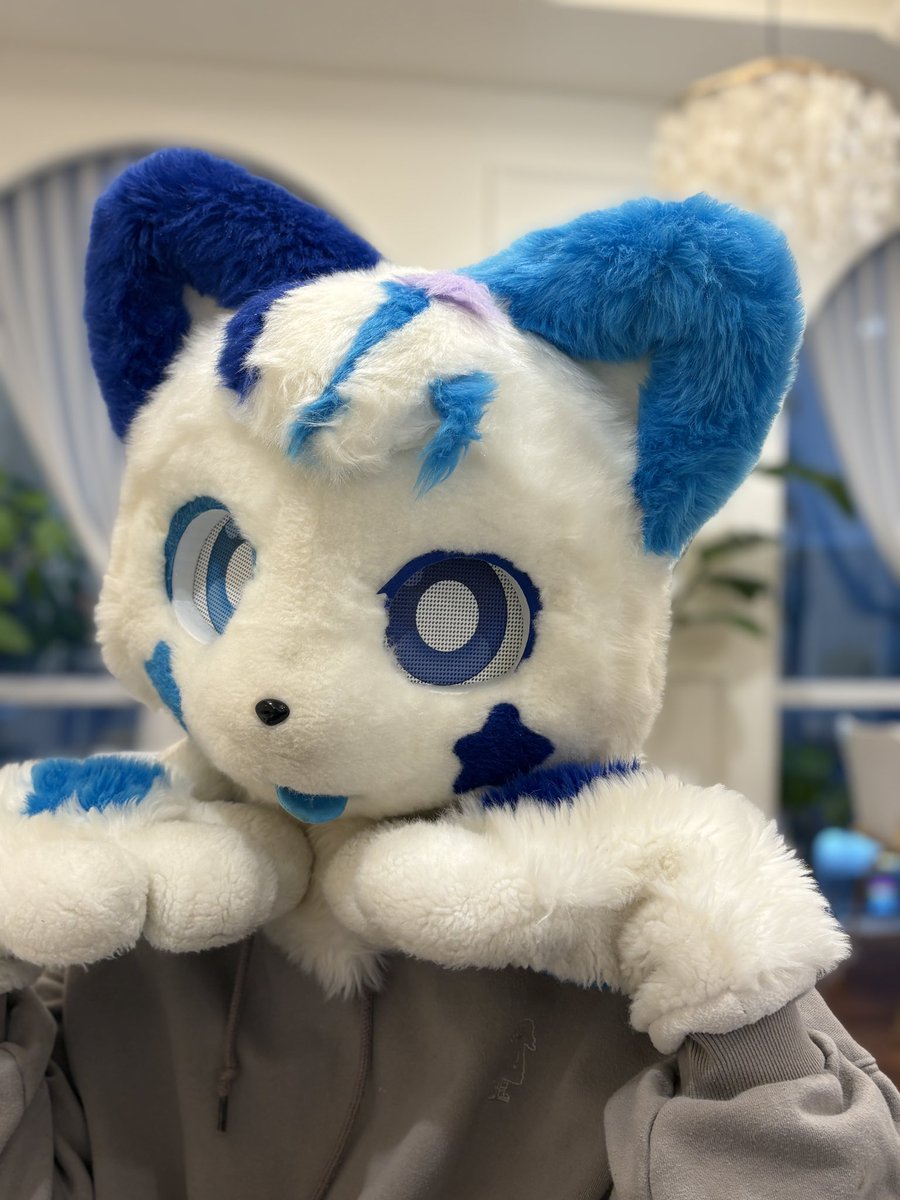 _5igma's tweet image. 잠시 스바루가 되보았습니다☺️
🌟 @its_cape
📷 @ahpuhahpudding