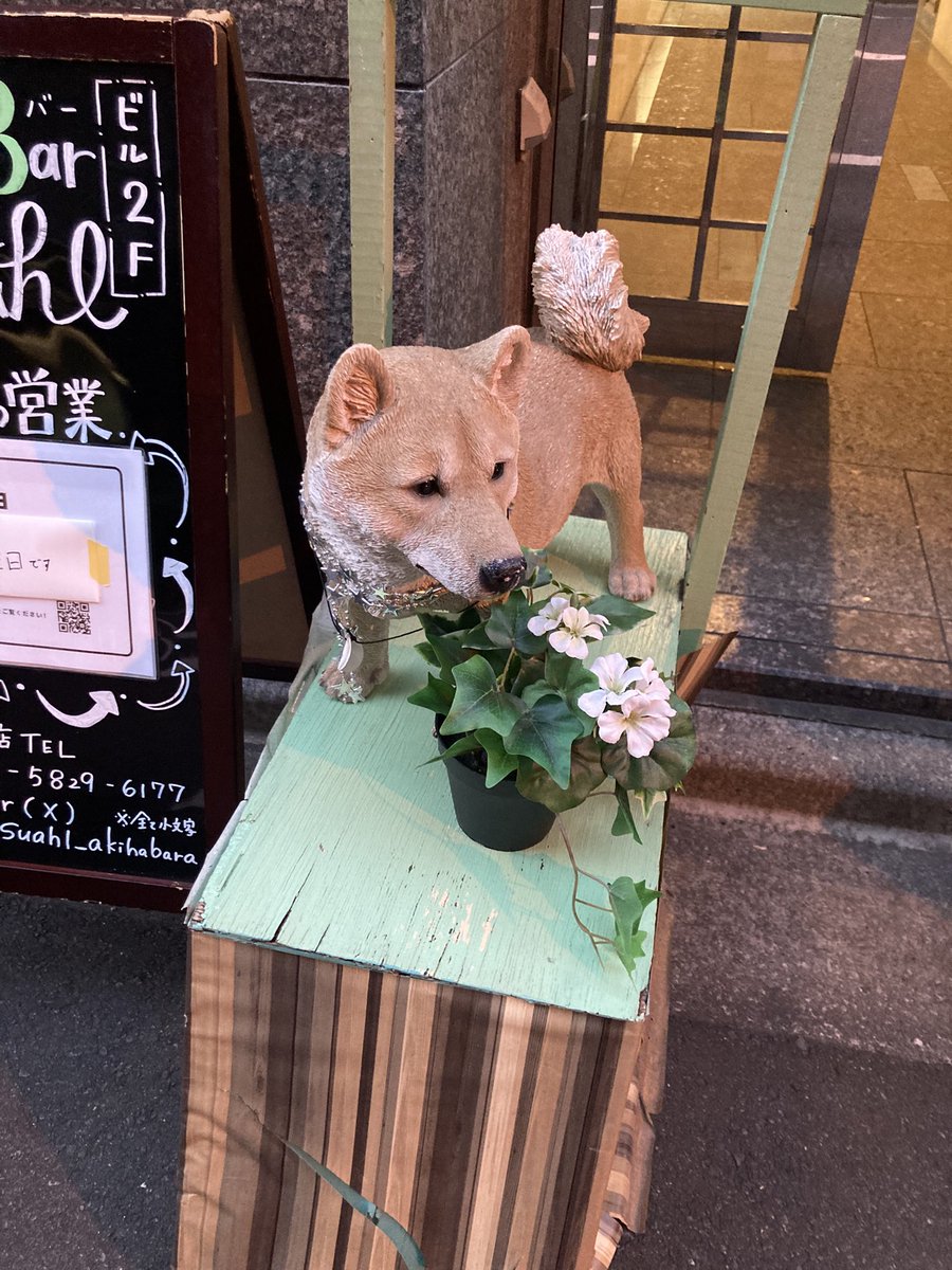 オダタマコ tweet media