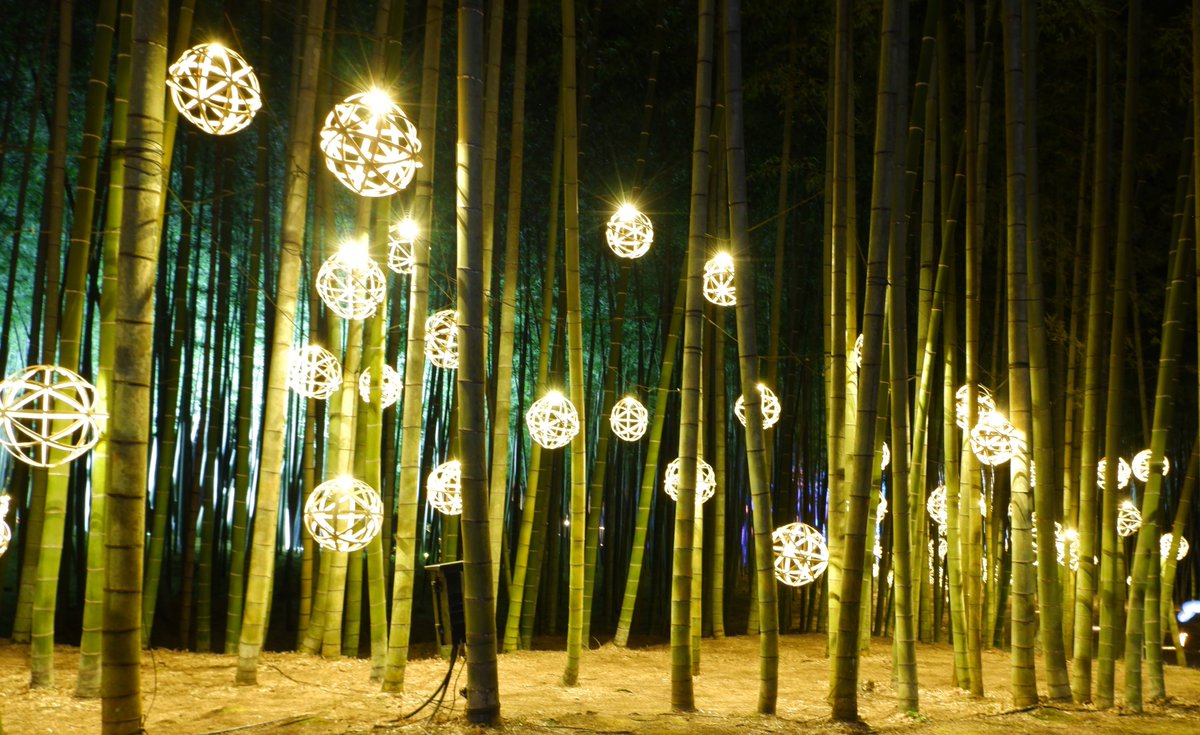 かくたともゆき tweet media