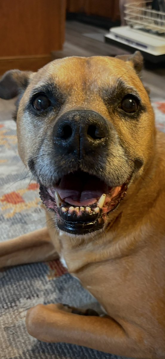 Logan Vaught tweet media