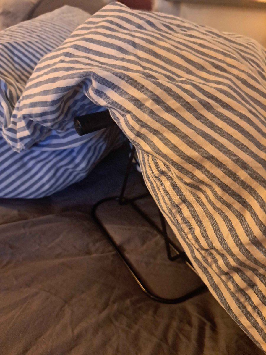 TheShopEasy's tweet photo. There's something hiding under my blanket.. https://t.co/RnA6h3R9rT