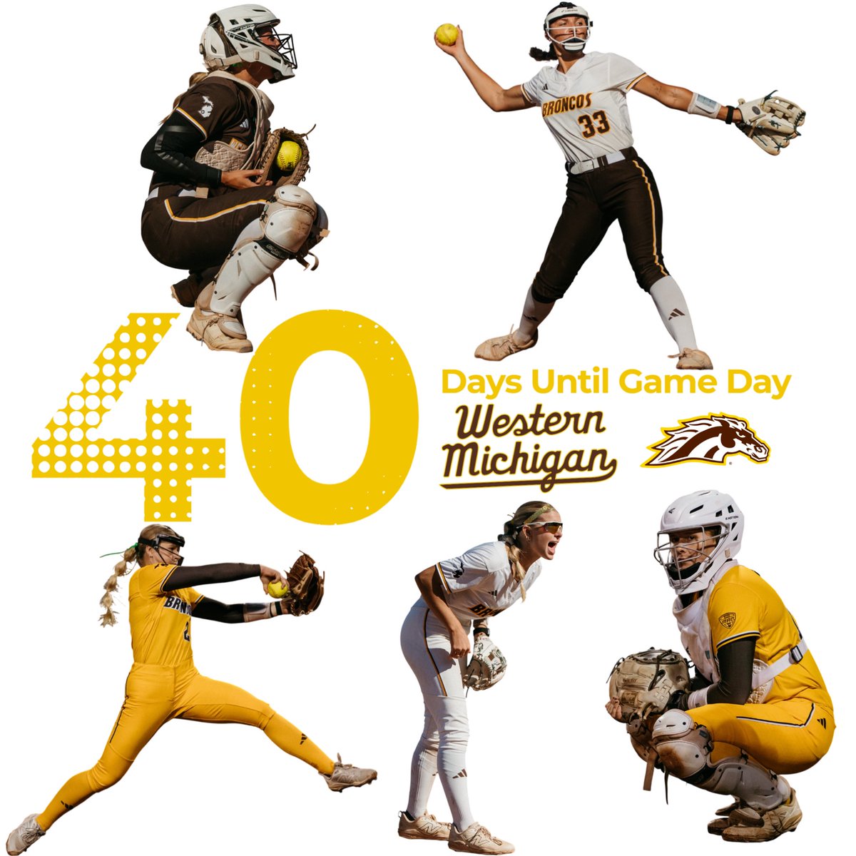 Western Michigan Softball tweet media