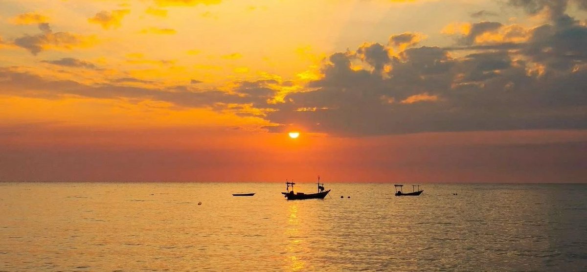 aesthetics_40's tweet image. 