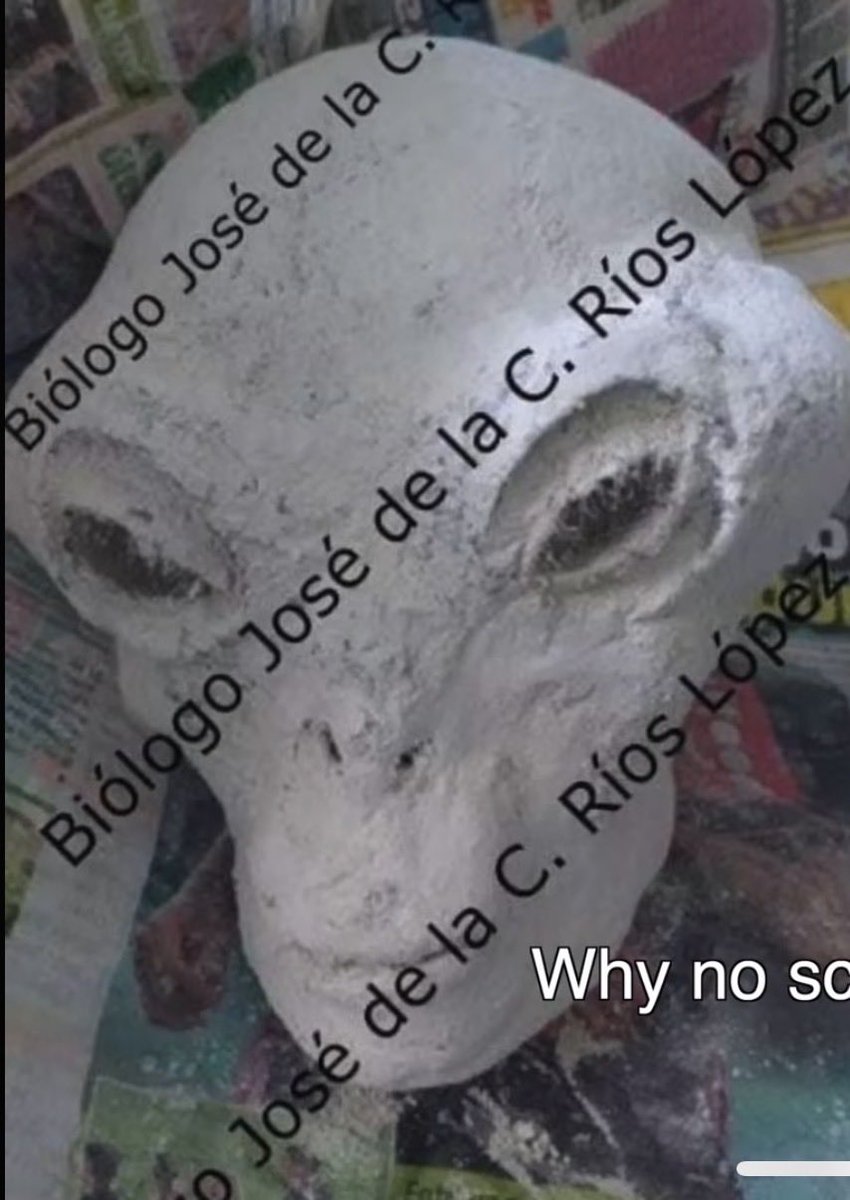 incredhistory's tweet image. Is this your picture? It has your name on it. Why is there no scan of this?