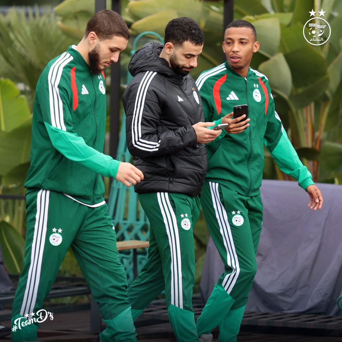 La Vague Verte ⭐️🇩🇿⭐️ tweet media