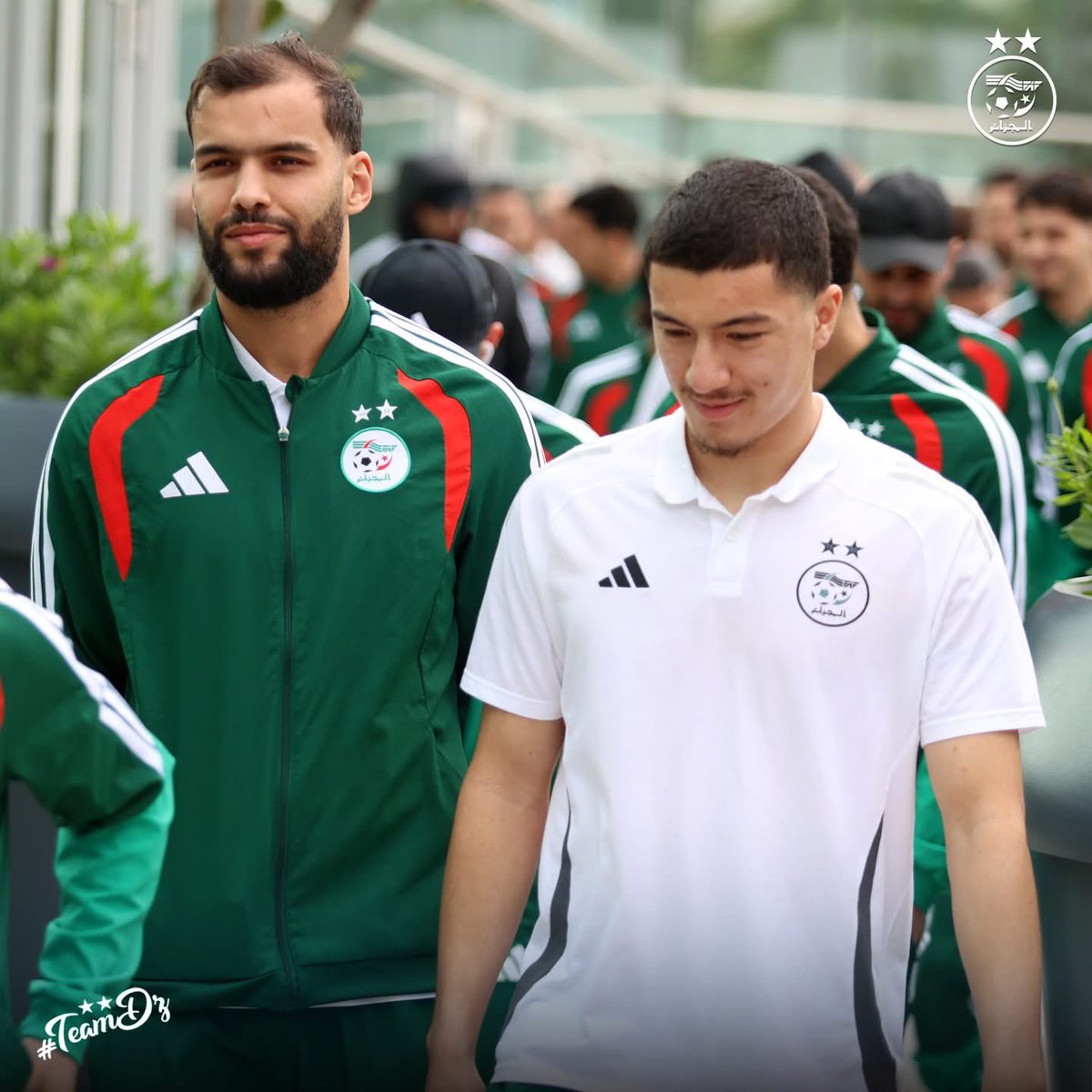 La Vague Verte ⭐️🇩🇿⭐️ tweet media