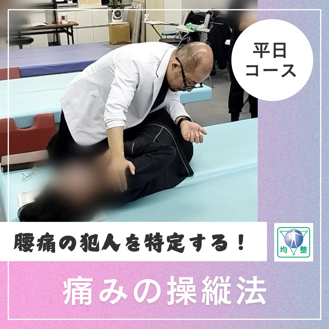 身体均整法学園 🎓《整体の奥義を伝える手技の学校》 (@SymmeBody
