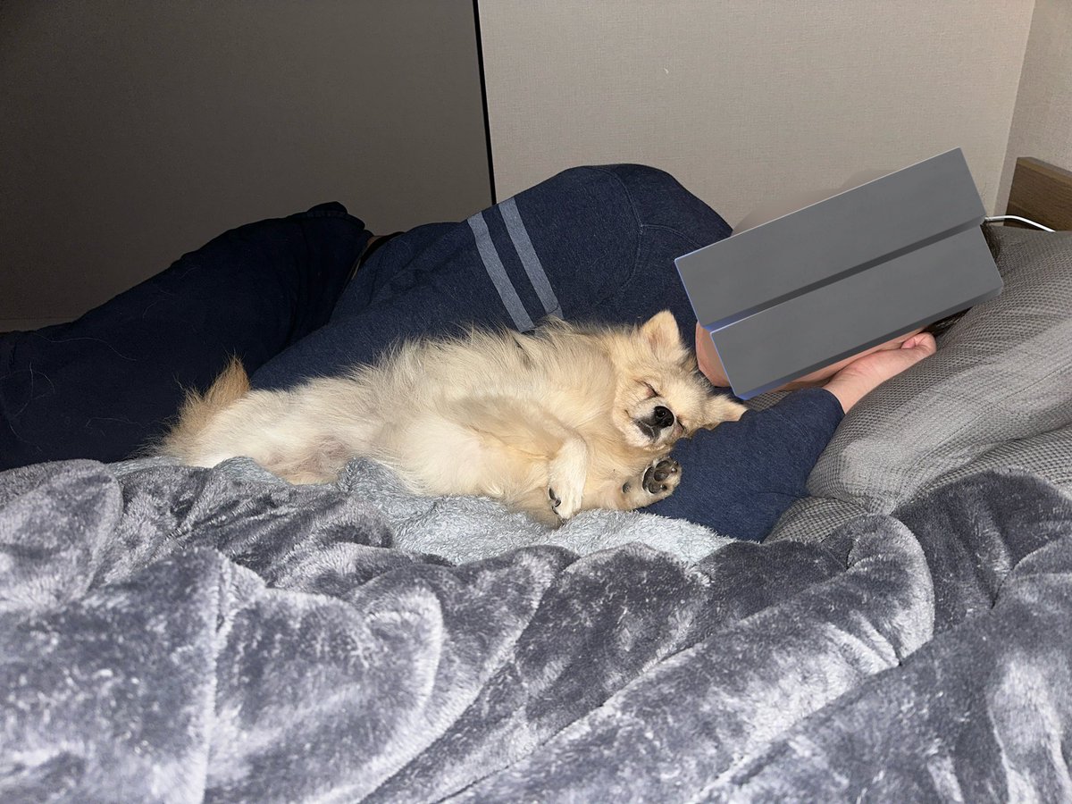 みるも 日 木現確予約可 FLSTF1450 ファットボーイ BMY ローン可 ハーレー