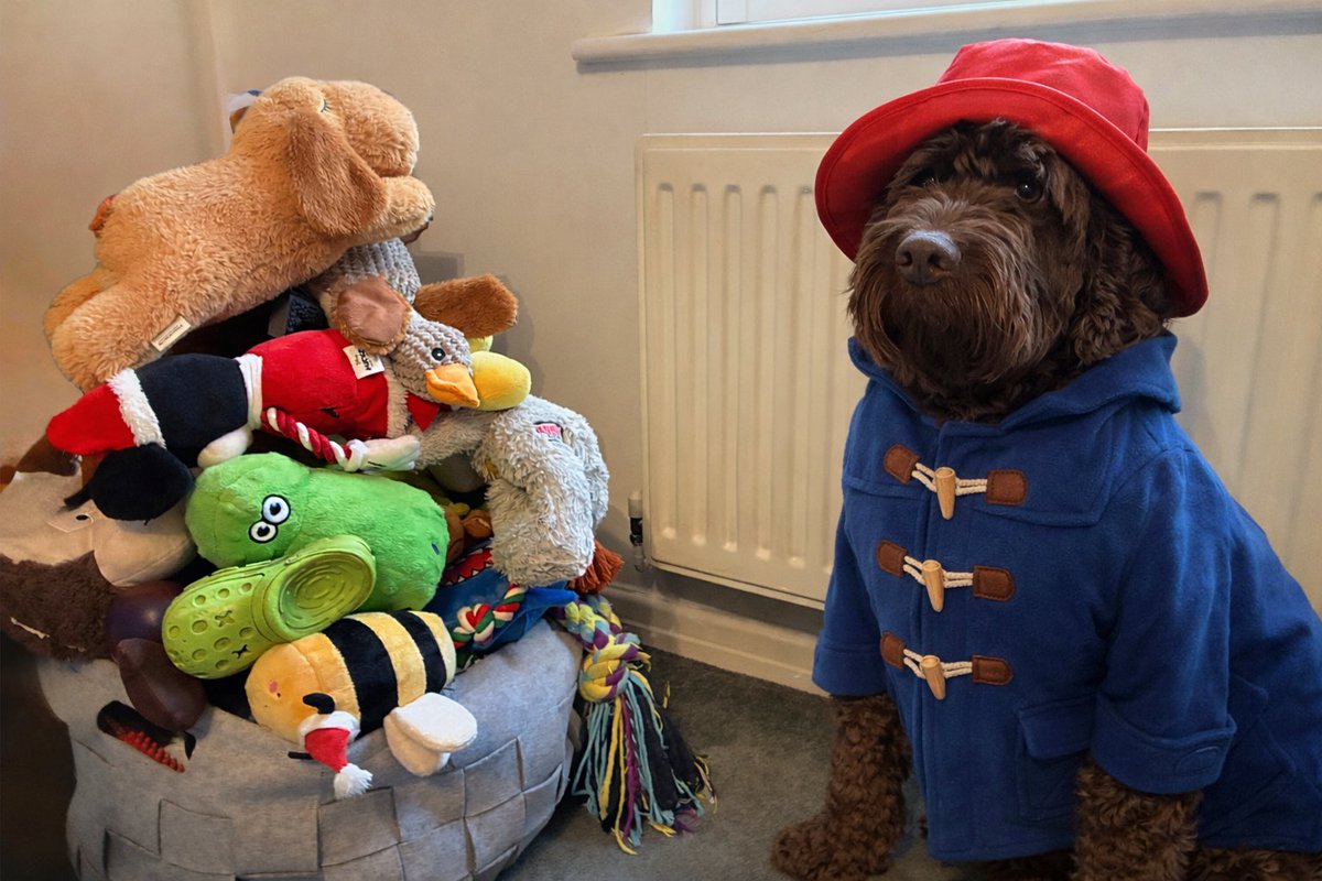 grumpyoldmoo's tweet image. Houston we’re gonna need a bigger toy box 🐾🙈🤣