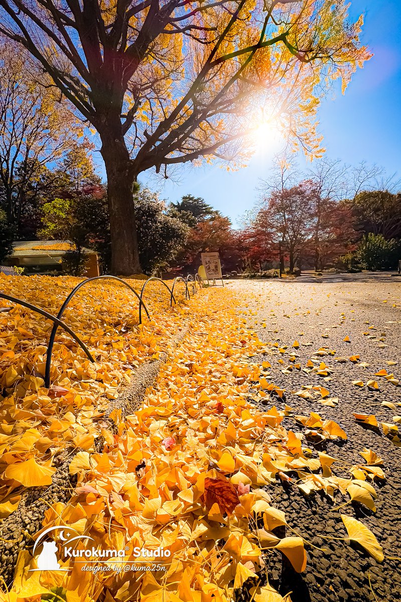 ☘️hinachan🍀 (@ukyounoheya) / Posts / X