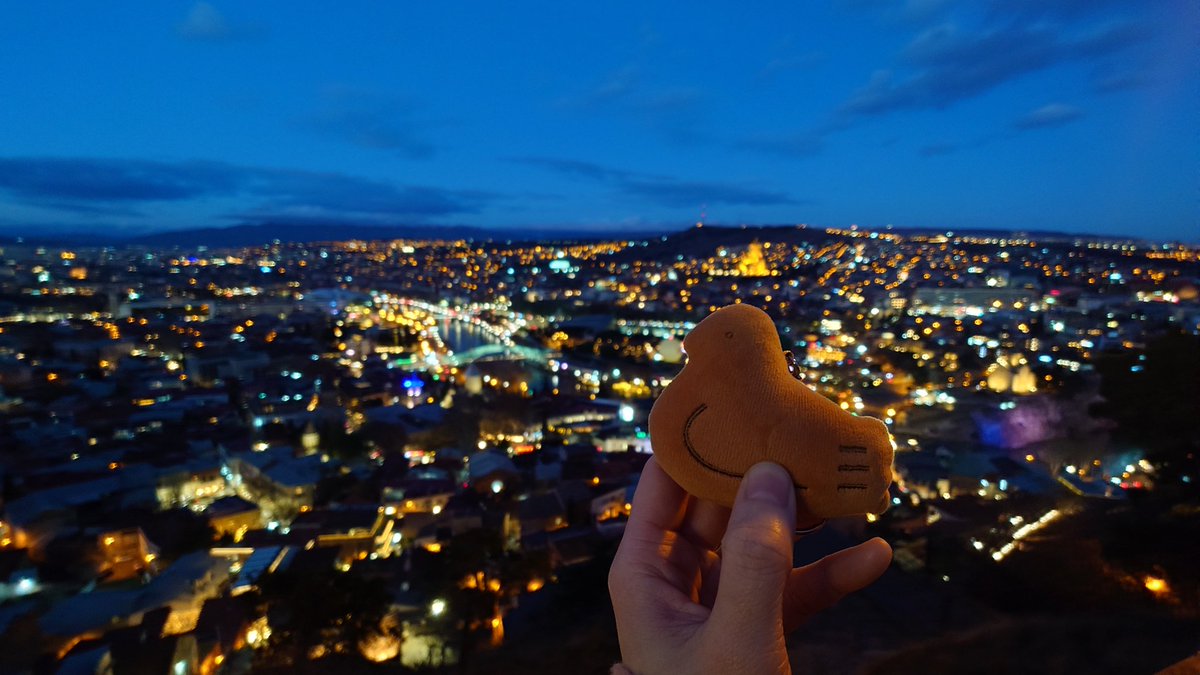 素晴らしい🐦💕🇯🇵