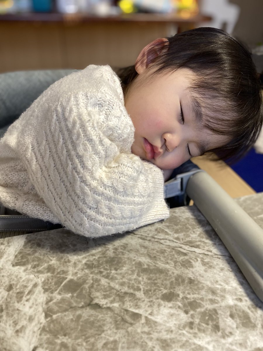 パンちゃんとナギさん4y&スイさん1y (@panchanbaby) / Posts / X