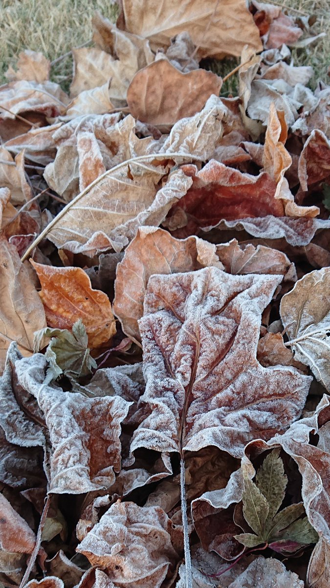 <a href="/Virginia1Gina/">Virginia</a> Thank you as always dear virginia 🌺
Wishing you a peaceful and happy new week ✨✨✨