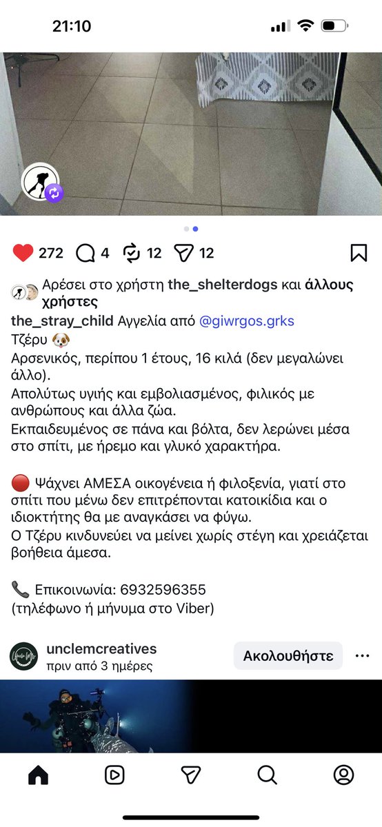 Προς υιοθεσία