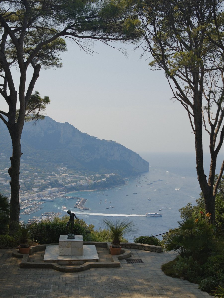 Virgule Papillon tweet media