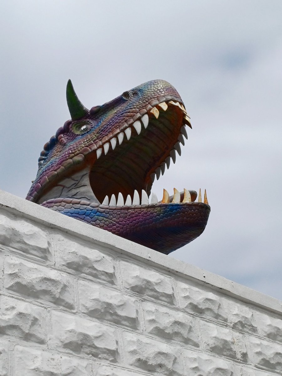 brew_with_view's tweet photo. @sheenz_m_ Oh no! If only I'd not posted this for #WeekYforYearPast, I could have put a bid in for #WeekDforDinosaurs π
#AlphabetChallenge #WeekThemes #WeekTheme https://t.co/DLr3nDsvMc