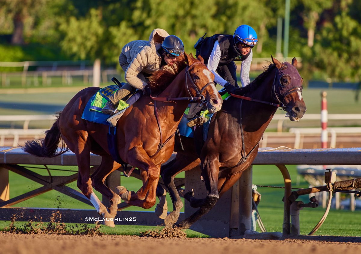 kimo16's tweet image. Bullet 5F in 59.20 this morning for Desert Gate under J.J.Hernandez working outside of Taif 5 in 59.40 with Abdul Alsagoor up for HoF trainer Bob Baffert @santaanitapark @ZedanRacing @BobBaffert @QusoorAl @JJHernandezS19