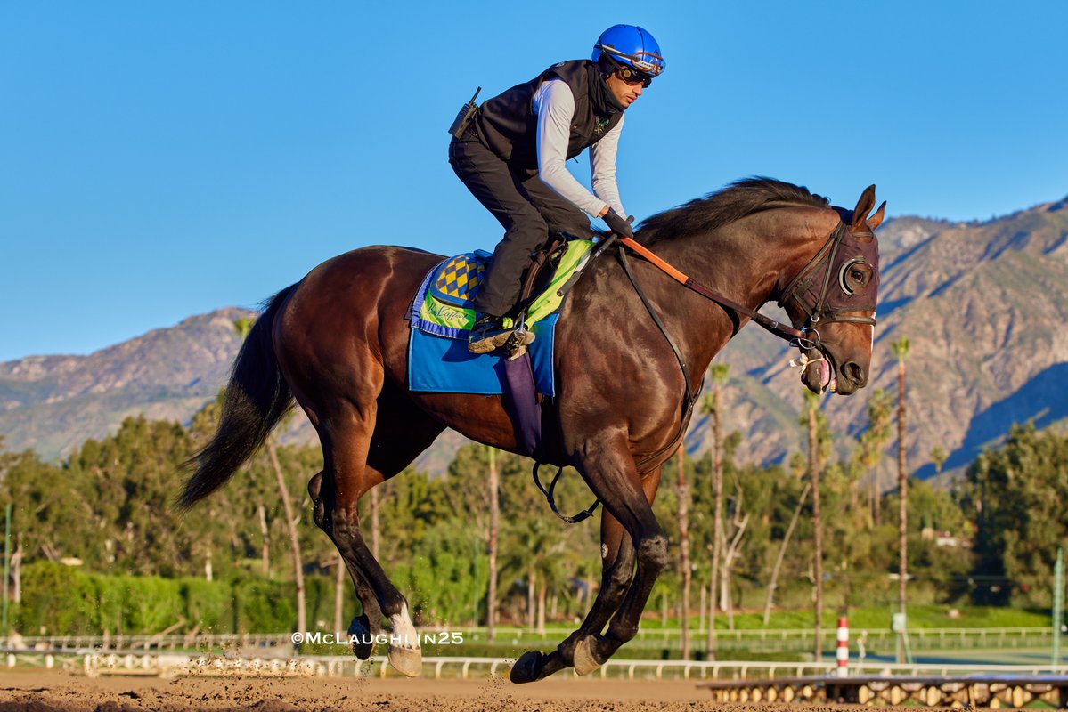 kimo16's tweet image. Bullet 5F in 59.20 this morning for Desert Gate under J.J.Hernandez working outside of Taif 5 in 59.40 with Abdul Alsagoor up for HoF trainer Bob Baffert @santaanitapark @ZedanRacing @BobBaffert @QusoorAl @JJHernandezS19