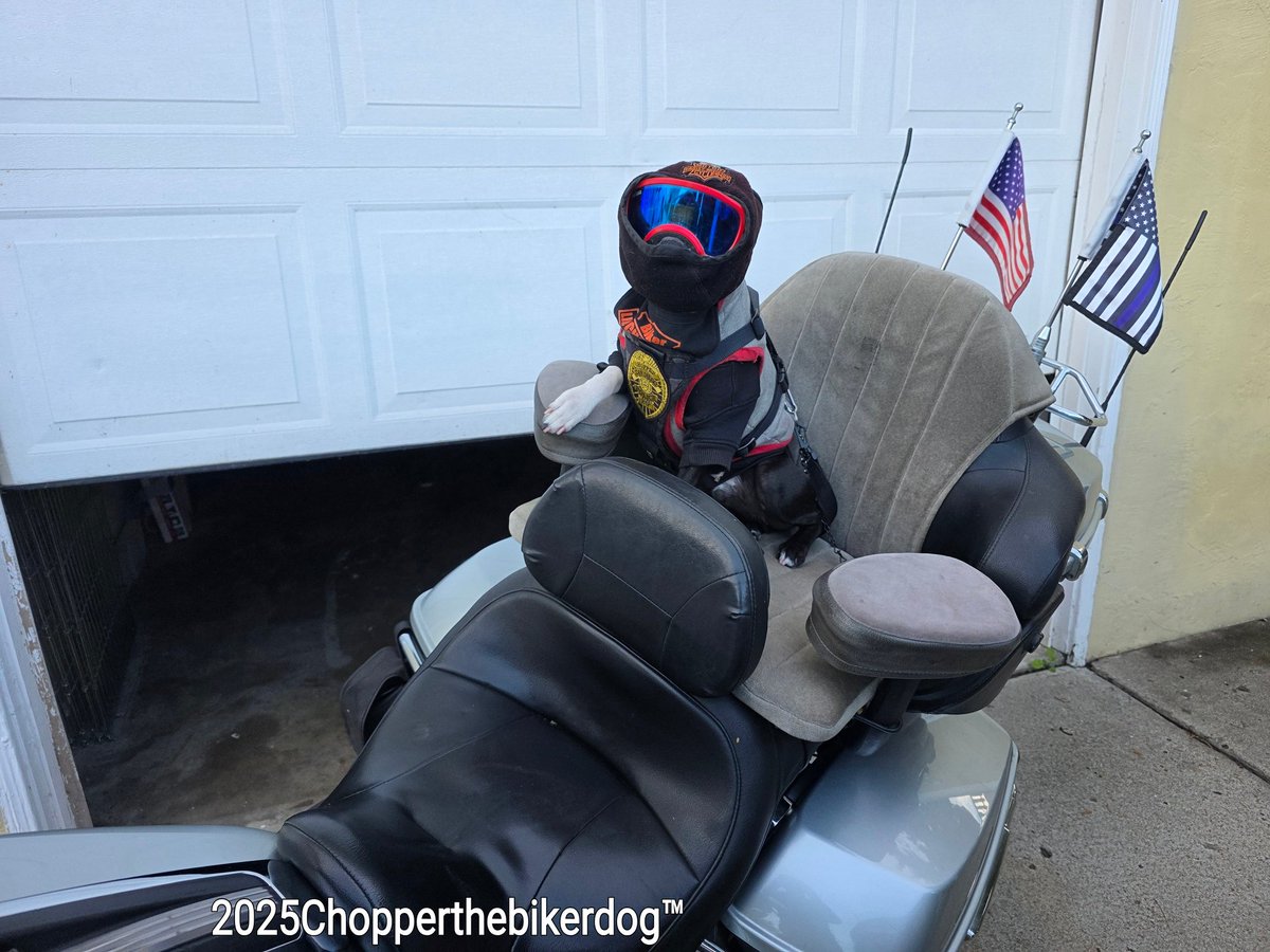 ChopperBikerDog's tweet photo. All bundled up &amp; ready 2 hit the road on my 70 mi road trip North 2 visit a San Diego Police Officer who was run down by a drunk driver recently in San Diego while on duty. 😢💔😢 Going 2 provide the officer &amp; his family some comfort, support, love, &amp; a few Smiles 💙🙏🙏🙏💙 https://t.co/C7WViIg2wY