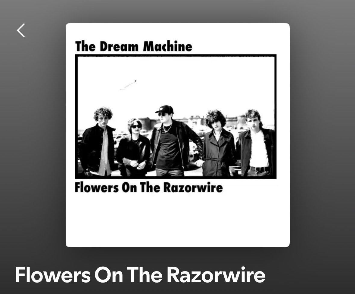 RunOnRecords's tweet image. Flowers on the razorwire, beauty in the pain…

@DreamMachineHQ 

open.spotify.com/track/6xUj5m81…