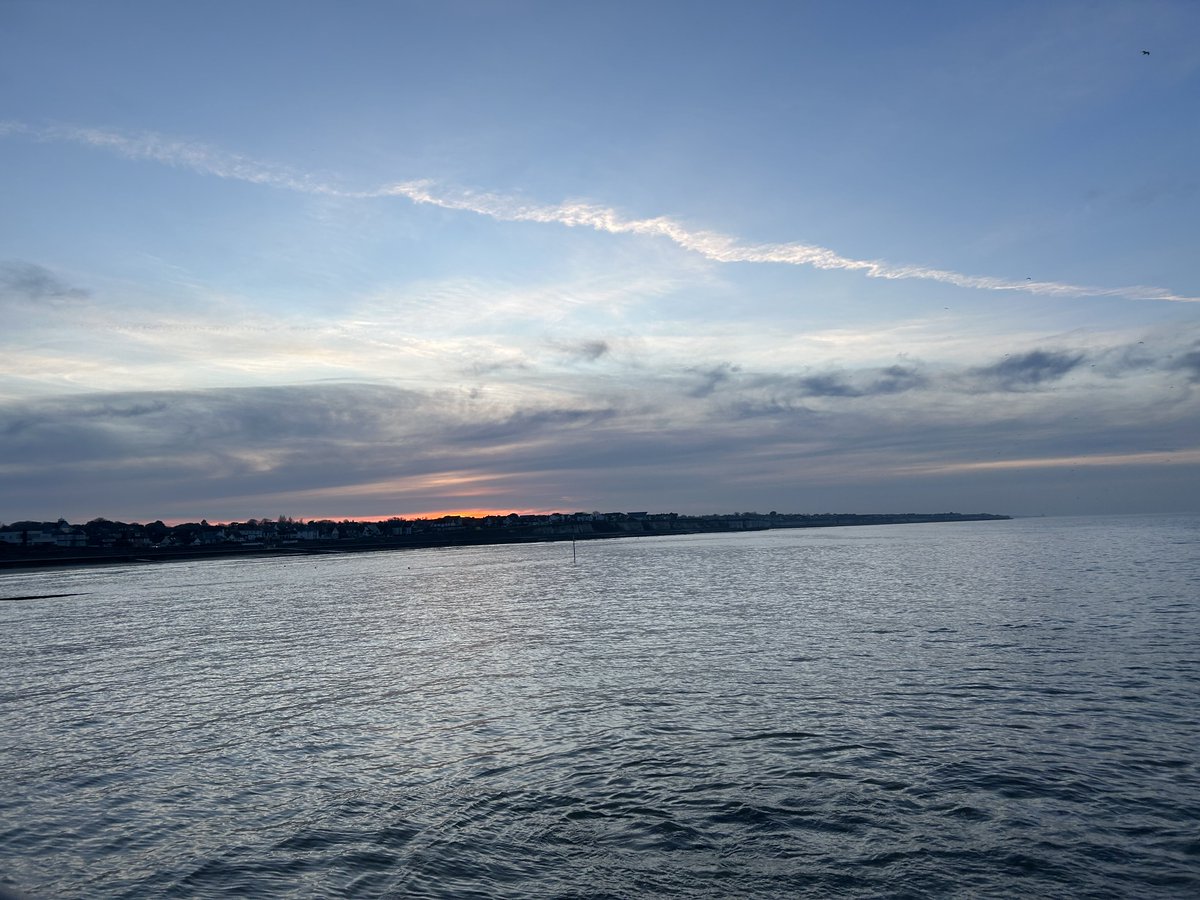 Sara Turle 💙 tweet media