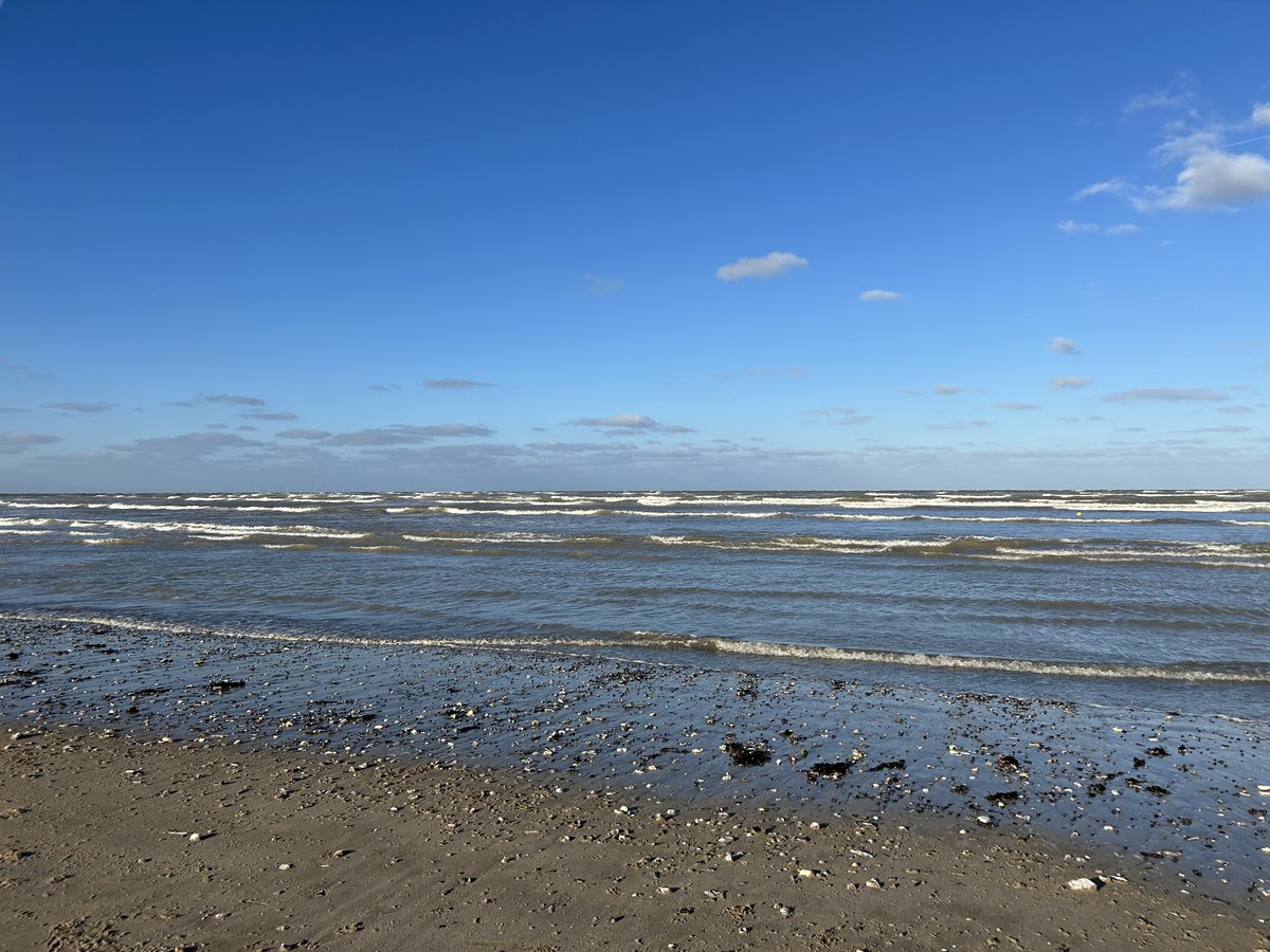 Sara Turle 💙 tweet media