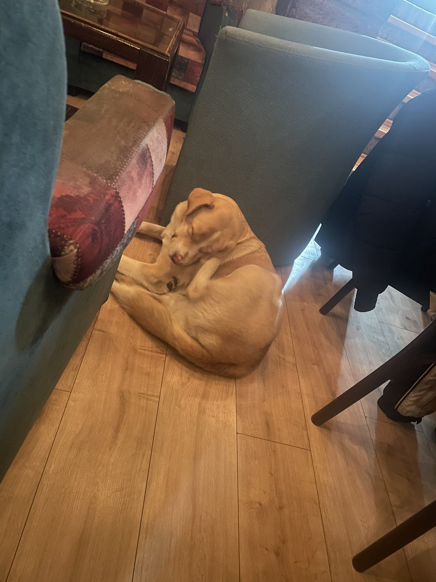 On i dalje spava na ulici, svakog dana. Jedino mesto gde je siguran, gde ga pomaze i nahrane, jeste caffe Retro — dok radi. (Stara Pazova) Tamo dobije toplinu i osećaj da pripada. Ali kad se vrata zatvore i svetla ugase, on se ponovo vraća na hladnu ulicu. A toliko je nežan,