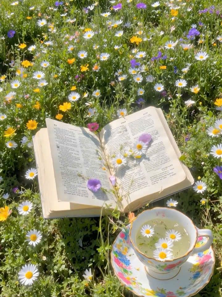 greenvibe's tweet image. 