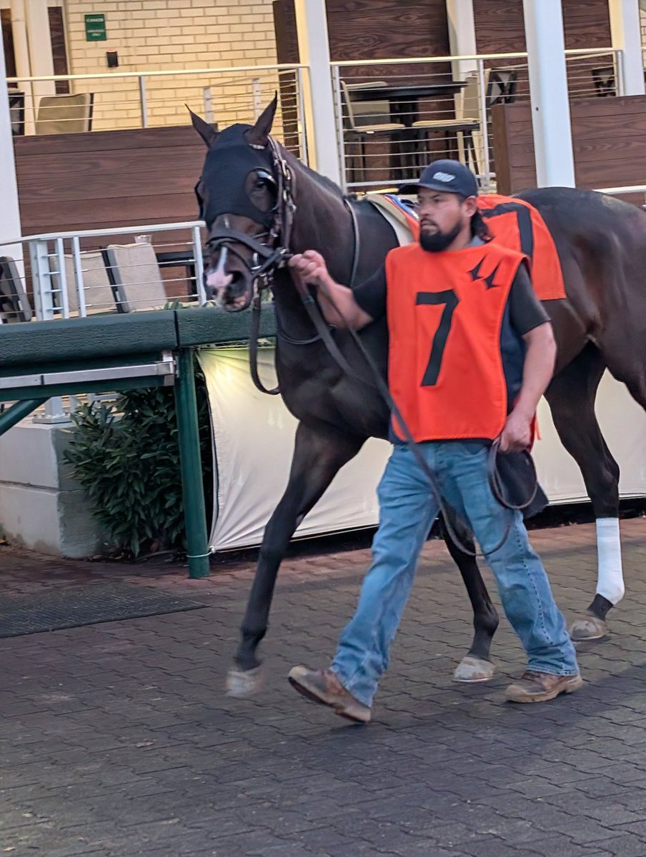 Hard Knocks Racing Partners tweet media