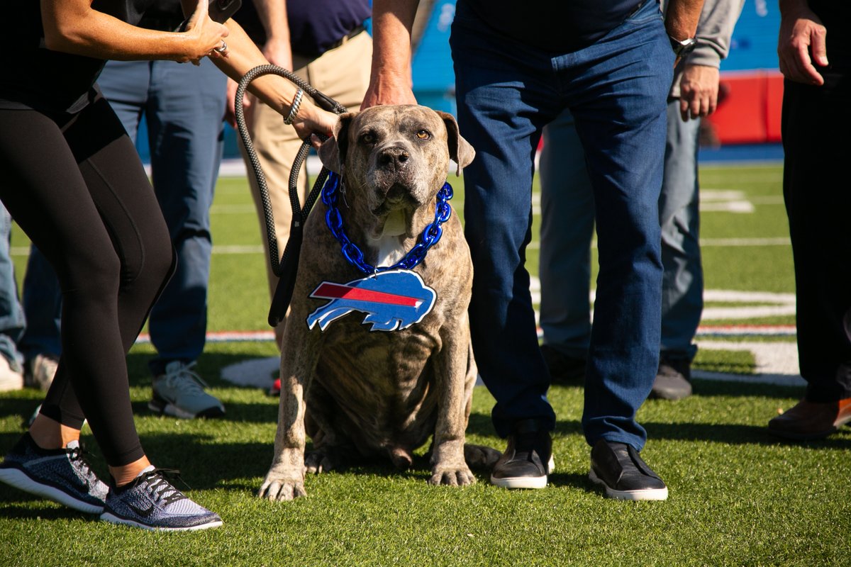 Gabe's Collision tweet media