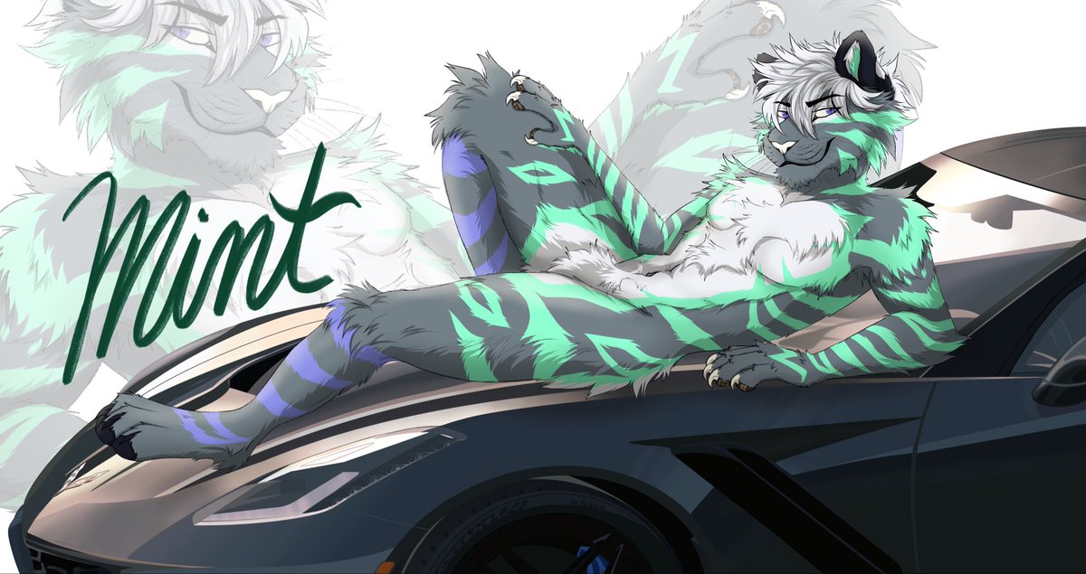 Werovester's tweet image. 9hr 25 minutes, Christmas gift for hubby. Car took me longer than mint did 🤣 
🐯:@AFFLUENTMINT